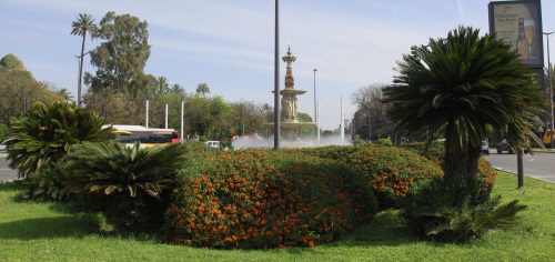 Sevilla 14 W